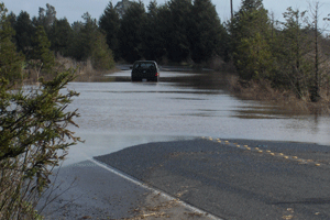 Rohnert Park Expressway between Bellevue-Wilfred and Hinebaugh Creek, December 28, 2005.