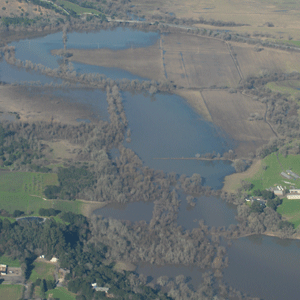 Part of the Laguna de Santa Rosa floodplain; shown here is the area south of River Road, on January 6, 2006