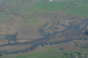 Gravenstein Creek meanders across Brown Farm before joining the braided channels and wetland complex of the Laguna de Santa Rosa, shown here on January 6, 2006.